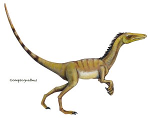 Compsognathus